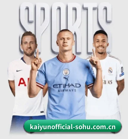 开云登录入口的方向
